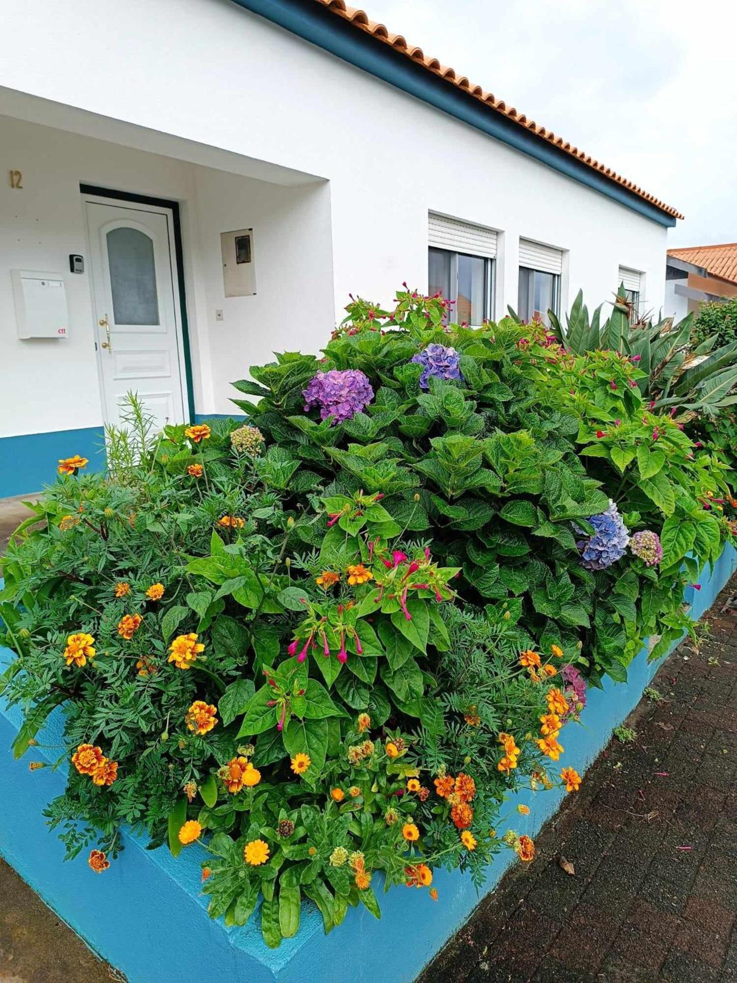 Apartamento Da Matilde Santa Cruz das Flores Kültér fotó